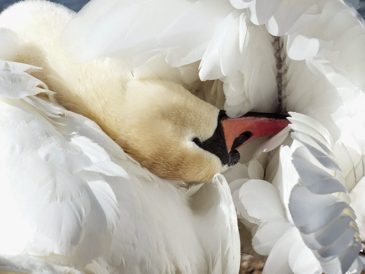 Bohaterowie nie z tej bajki