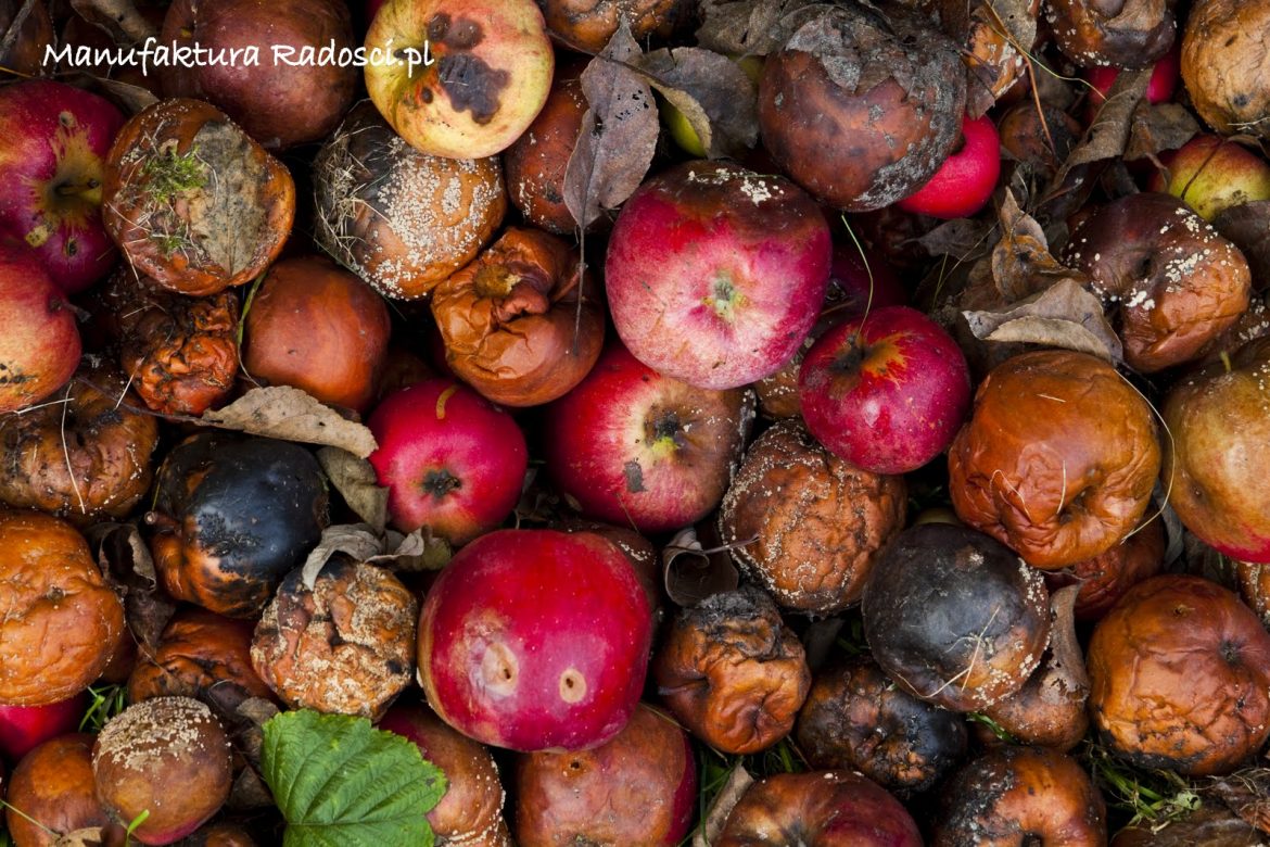 Frustracja, choroba cywilizacyjna?