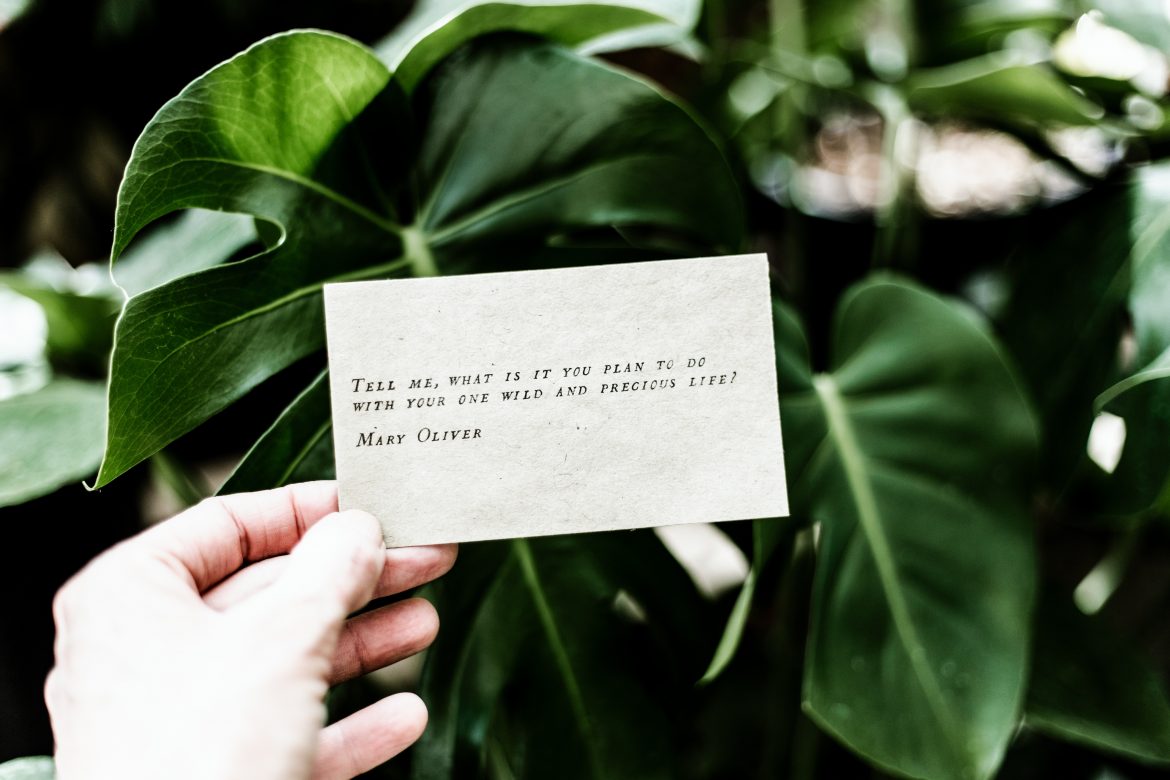 Wakacje. Uwaga: nie zwariować!