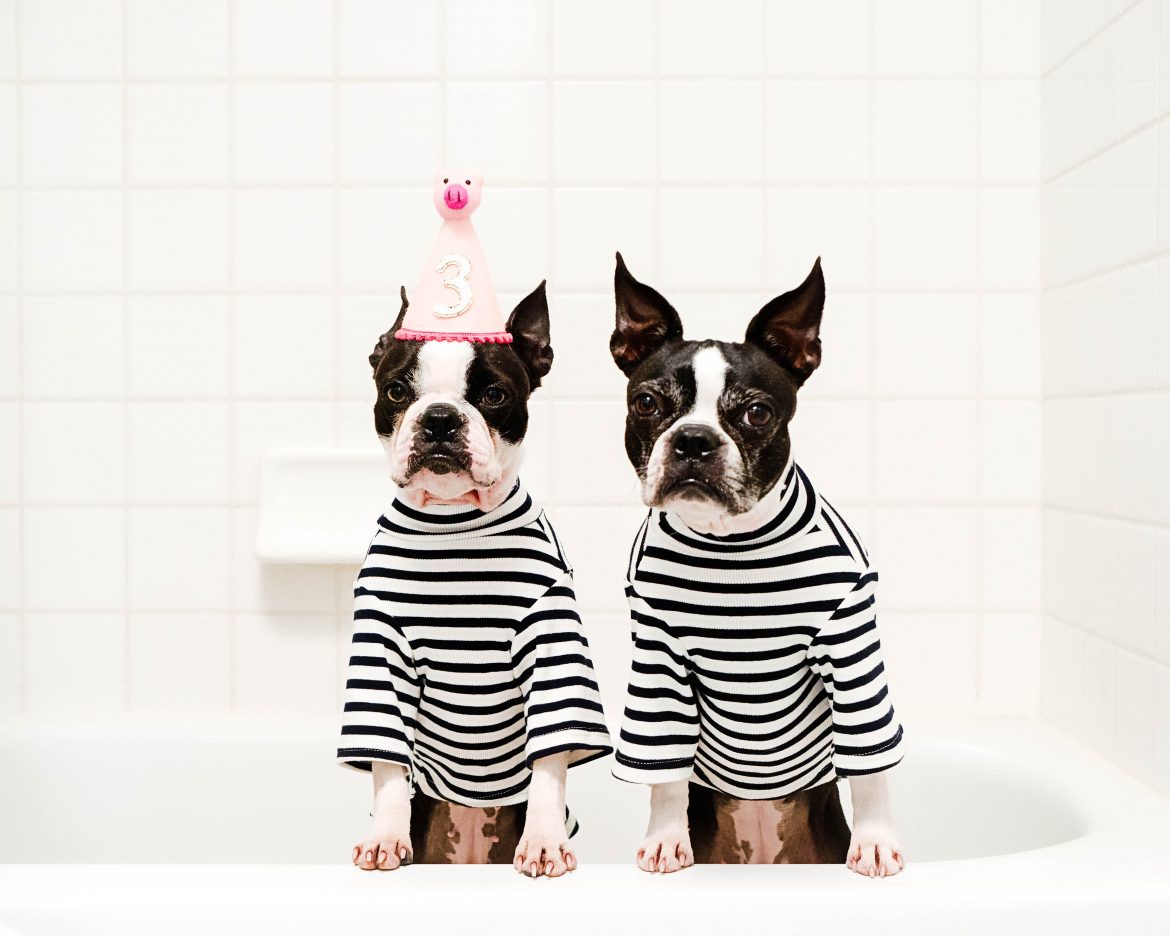 Cytaty o życiu, inspiracje i zdania perełki. Które dla Ciebie?