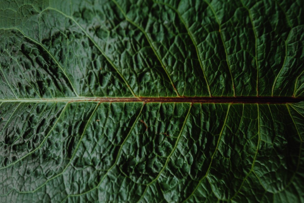 Czerwiec –  na półmetku!