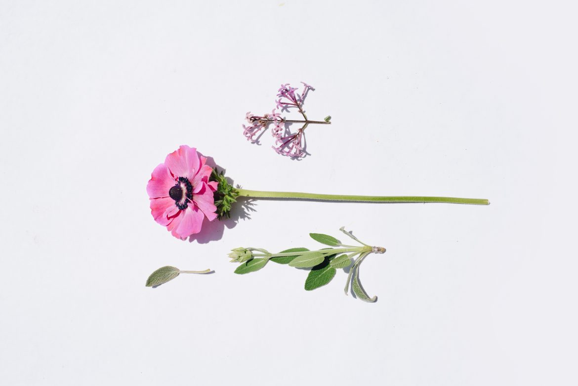 “Chciałabym, żeby ktoś mi powiedział, że …” – zapowiedź nowej książki! Zdradzam szczegóły!